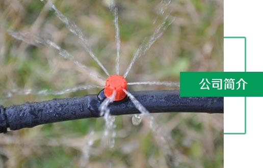 公司簡（jiǎn）介